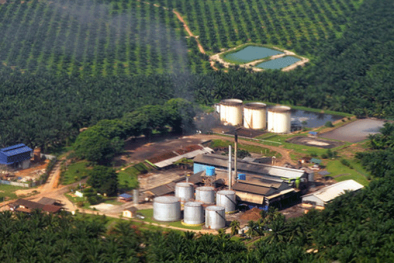 Dalam Sebulan PKS di Daerah Ini Raup Ratusan Miliar