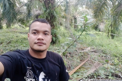 Harga CPO Melesat, tapi Pergerakan Harga TBS Masih Kurang Semangat