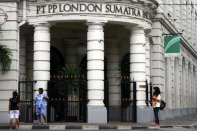 Produksi TBS Perusahaan ini Turun, tapi Laba Melejit