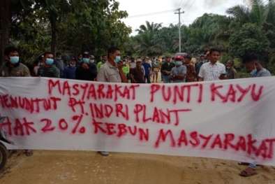 HGU PT Indri Plant Habis, Perpanjangannya Belum Kelar