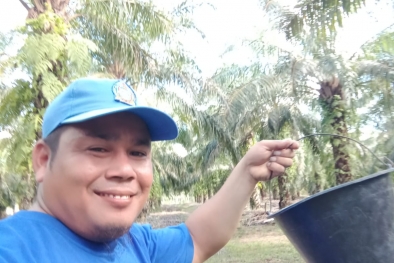 190 Ha Kebun Petani Swadaya Diusulkan Diremajakan