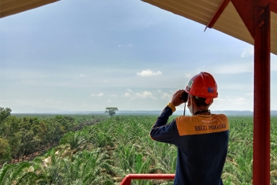 Perusahaan ini Mau Genjot Produksi CPO, Begini Caranya