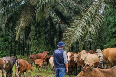 Pengembangan Siska akan Dilakukan Secara Terorganisir