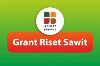 Ajak Kampus-kampus Bikin Riset Sawit, BPDPKS: Duitnya Ada!