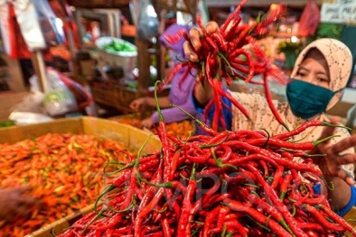 Pasokan Cabai Cukup untuk Kebutuhan Puasa dan Lebaran