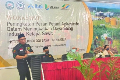 Ketum Apkasindo: Stabilkan Dulu, Jangan Buru-buru Bikin Aturan Baru