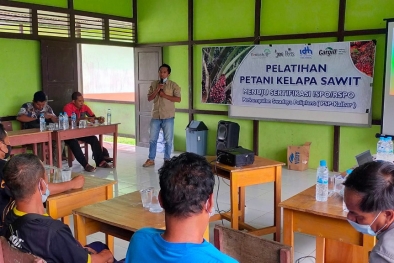 Benarkah ISPO dan RSPO Bisa Sejahterakan Petani Sawit?