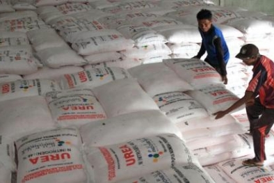 Stok Pupuk Subsidi di Riau Tersedia 9.095 Ton
