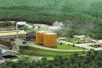 Kabar Gembira untuk Petani Dhamasraya, Pabrik Sawit Segera Beroperasi