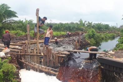 Ini Tiga Agenda BRG di Riau, Anggarannya Rp18,8 Miliar