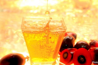 Ini Harga Referensi CPO untuk Bulan Mei