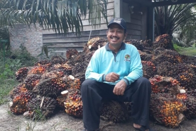 Perusahaan Kelimpungan, Sawit Terancam Tak Laku