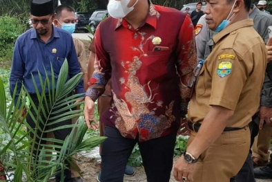 Petani Diingatkan, Pertahankan Sawit Tua tak Bikin Makmur