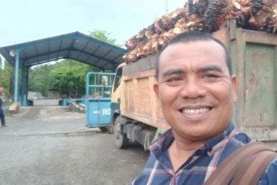 Harga TBS di Daerah ini Terus Merosot Setiap Hari