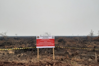 Ingin Garap Lahan, Warga Desak Vonis Karhutla Tahun 2018 Dieksekusi