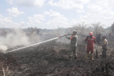 Lahan Sawit Terbakar, Upaya Pemadaman Masih Berlangsung