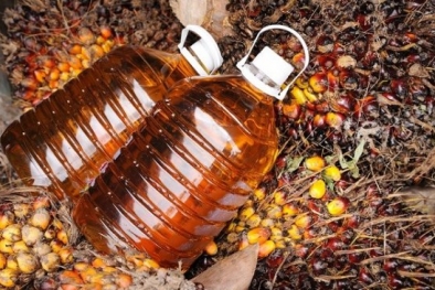 PPKS: Minyak Makan Merah Jawaban Pengentasan Stunting