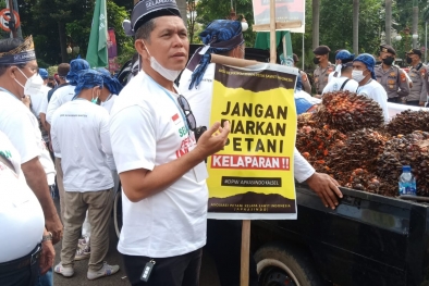 Soal Harga TBS, Kemarahan Petani Hanya Menunggu Meledak?
