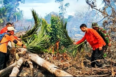 Diduga Sengaja Dibakar, Kebakaran Lahan Dipadamkan Secara Manual
