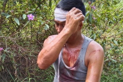 Harga Sawit Anjlok, Ninja Sawit Malah Makin Galak