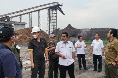 Bibit Tak Bersertifikat Alasan PKS Tak Bermitra Dengan Petani