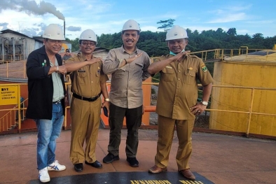 Harga Sawit di Sumbar Mulai Bergerak Usai Disoroti Dirjenbun