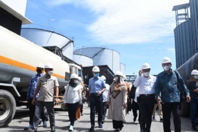 Pabrik Minyak Goreng di Belawan Didatangi Anggota DPR, Ada Apa?