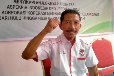 Aspek-PIR Riau: Program PSR Tersendat karena Persyaratannya