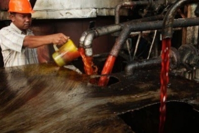 Disbun Riau: Pemerintah Harus Betul-betul Buka Pintu Ekspor