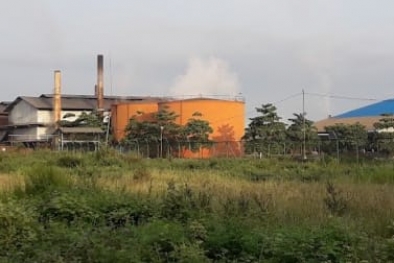 Berulang Kali Didemo, Perusahaan ini Belum Realisasikan Kebun Plasma