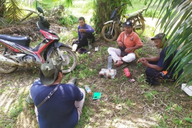 Berat di Ongkos, Elita Tak Panen Sawitnya