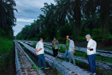 Begini Dampak Industri Pengolahan Sawit Terhadap Ekonomi Daerah