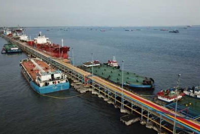 Daerah-daerah ini Jadi Pengekspor Sawit Terbesar Sepanjang Juni