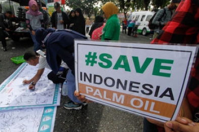 Dihempang Uni Eropa, Indonesia Terus Kembangkan Pasar Sawit