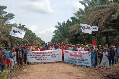 Ribuan Petani Sawit Mau Demo Besar-besaran Pagi Ini