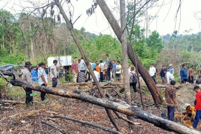 Dicaplok Penggarap dan Perambah, Hutan Desa Direboisasi