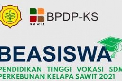164 Anak Petani Lolos Seleksi Administrasi Beasiswa Sawit