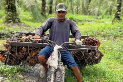 Pemerintah Harus Sikat 