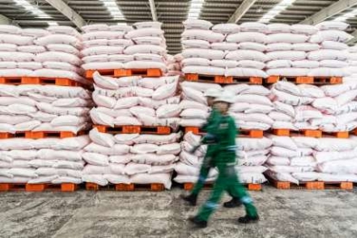 Begini Kisahnya Sampai Cuma 9 Komoditas Dapat Alokasi Pupuk Subsidi