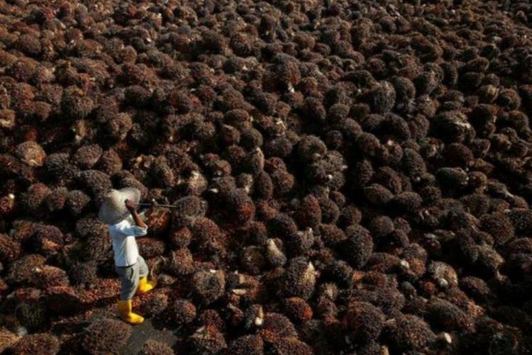 Pembangunan Pabrik di Sumsel Berpotensi Besar