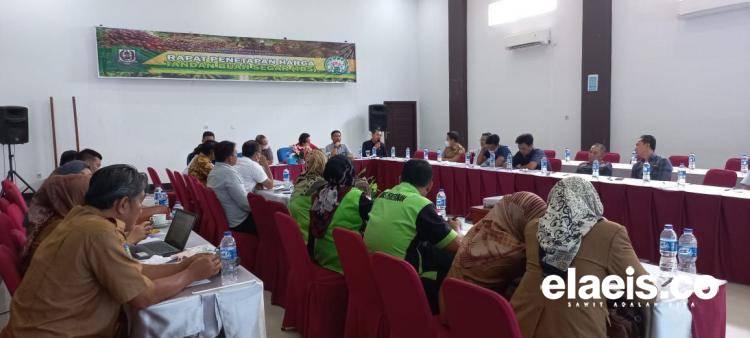 Harga Sawit Bengkulu Ditetapkan Naik Rp565/Kg