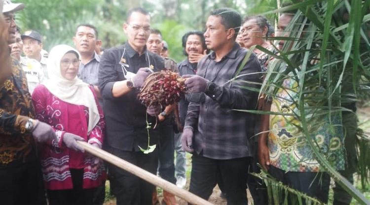 Legalitas Lahan Masih Jadi Kendala Utama PSR
