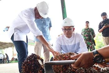 PKS PTPN V Diaudit, Pengolahan TBS Sampai Limbah Cair Dipelototi