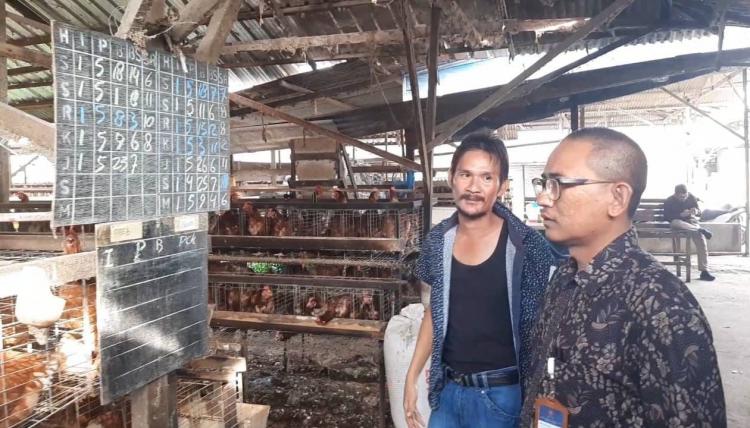 Harga Telur Naik, Pengakuan Pedagang, Distributor, dan Produsen, Berbeda