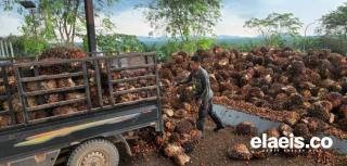 Volume Ekspor Sudah Naik Sih, Tapi Stok CPO Masih Bikin Narik Napas Panjang