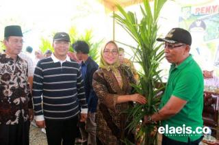 Gubernur Bengkulu Rutin Berikan Bantuan Bibit Sawit, Terakhir 22.000