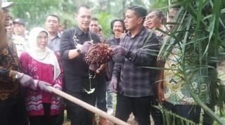 Legalitas Lahan Masih Jadi Kendala Utama PSR