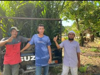 Bisnis Bibit Sawit Mulai Seret