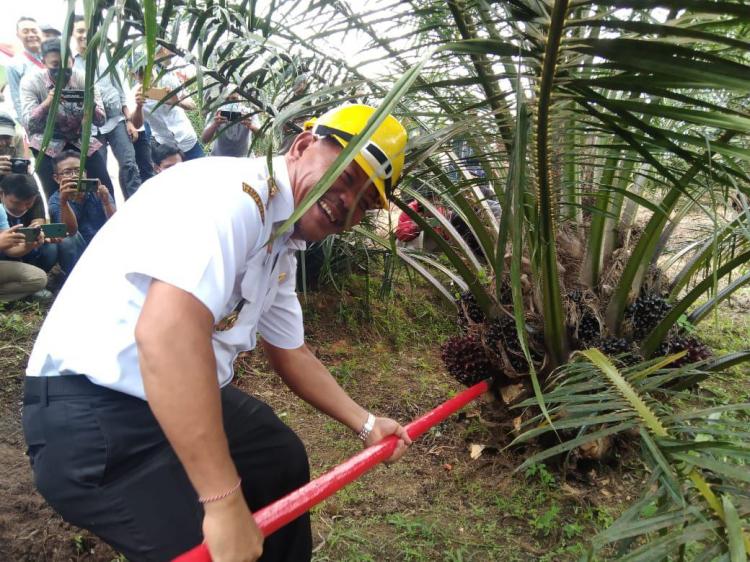 Begini PSR Dari Kaca Mata Disbun Sanggau