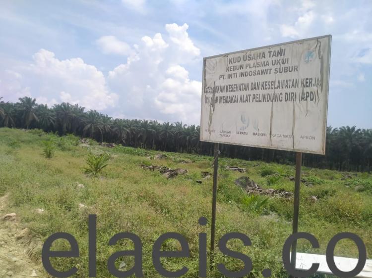 Petani yang Sudah Dapat PSR Berharap Diizinkan Ajukan Bantuan Sarpras